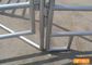 Welded Round Tube 2.2mx1.7m Livestock Fence Panels For Horse