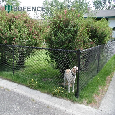 สนามเทนนิส แกลนไซด์ Chainlink Fence Roll Cyclone Wire Diamond Mesh สีดํา พีวีซีเคลือบ 6ft 8ft Mesh เปิด 50*50mm