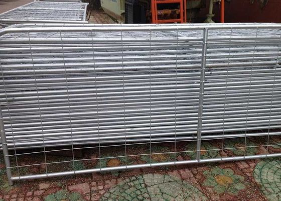 อเมริกันพกพา Chain Link รั้วชั่วคราวสําหรับสถานที่ก่อสร้าง รั้วชั่วคราว