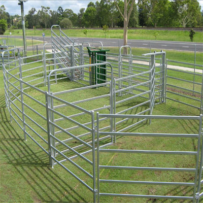 60x60mm Rails Lugs And Pin Model Square Pipe 60ft Height Cattle Panel For Horse