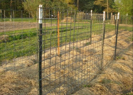 รั้วฟาร์ม 8ft 1.25lb Steel Studded T Post Green Coated
