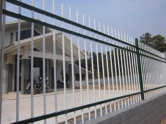6FT Height Powder Coated 25*25mm RailsTubular Steel Fence
